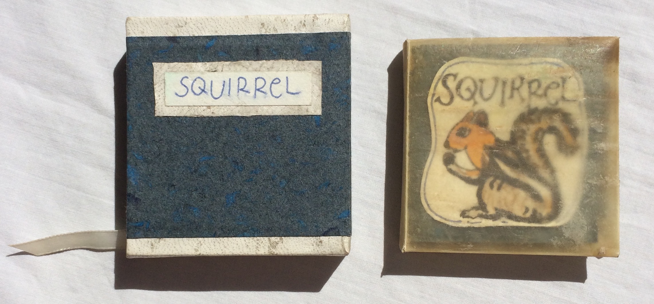 Image for Squirrel.