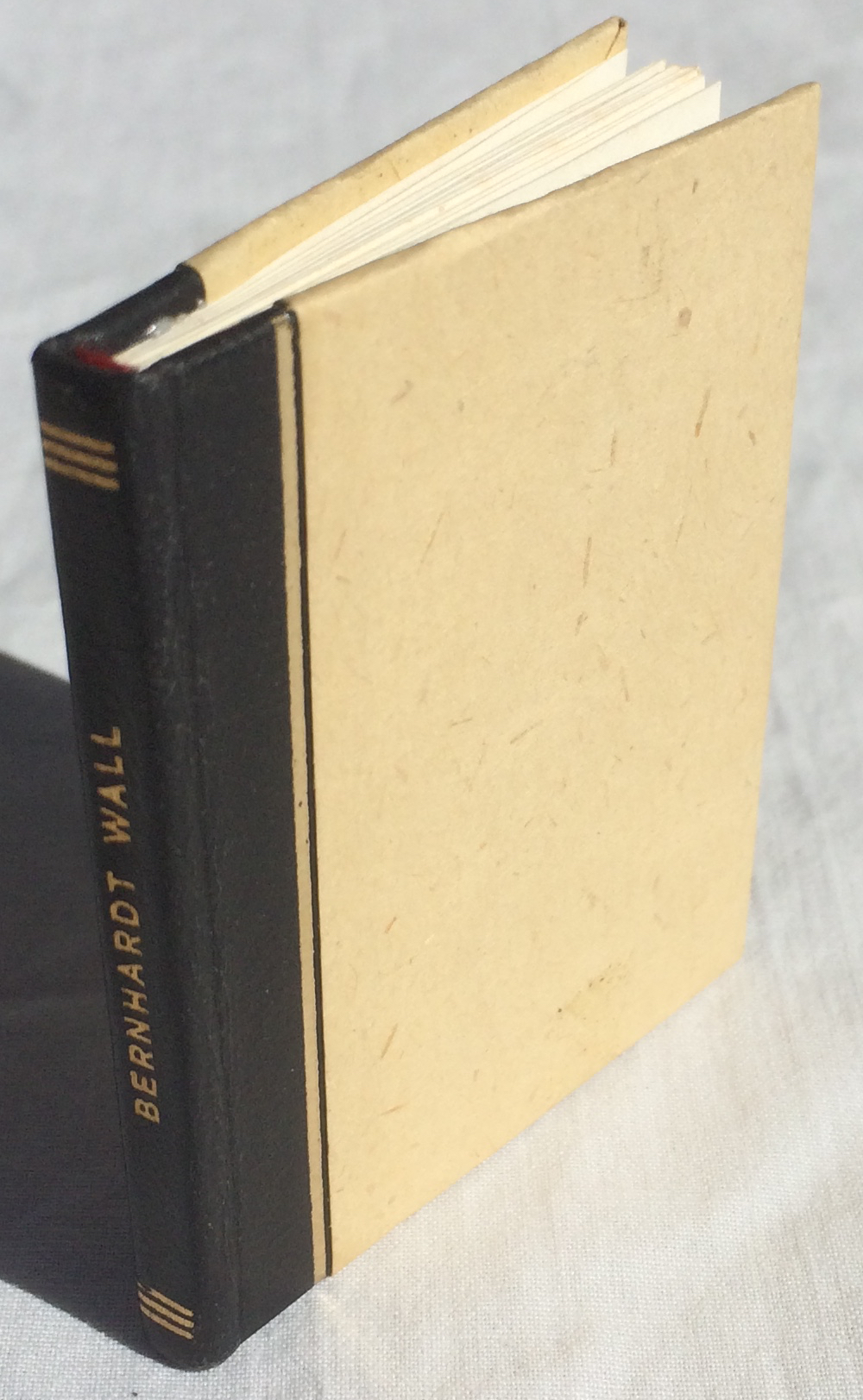 Image for Following Bernhardt Wall