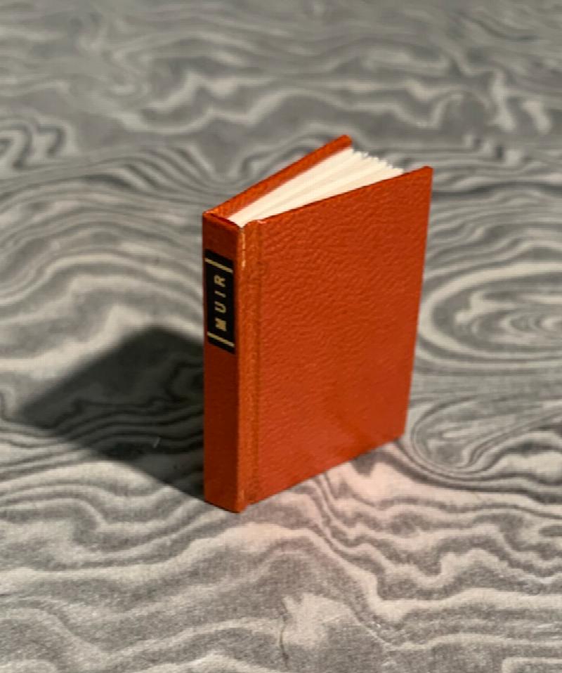 Thumbnail Image