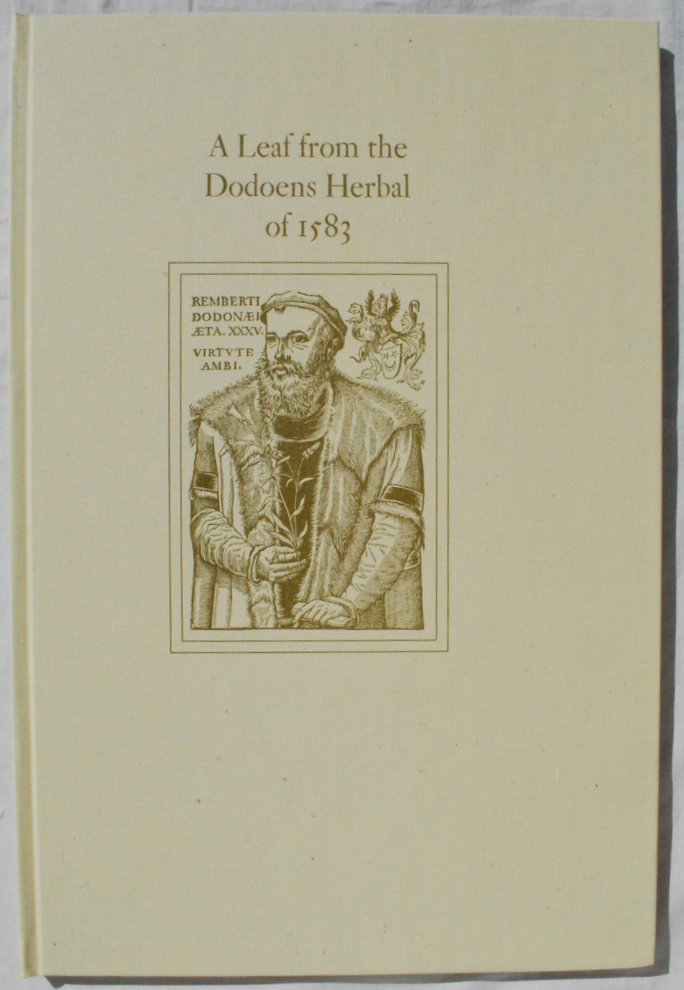 Image for A Leaf from the 1583 Rembert Dodoens Herbal Printed by Christopher Plantin.