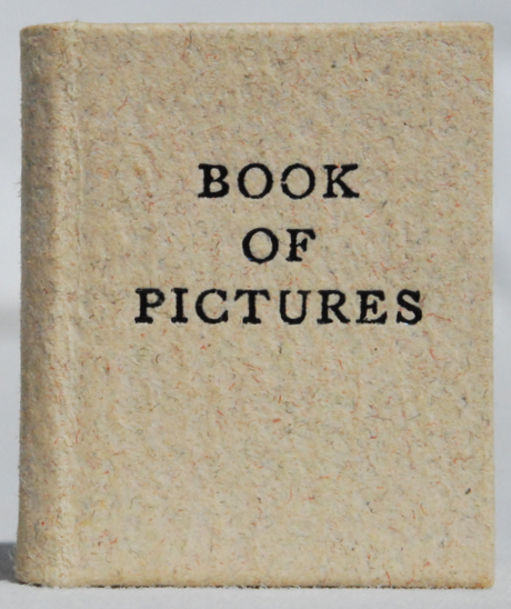 Book of Pictures and Wise Words. Image for Book of Pictures and Wise Words.
