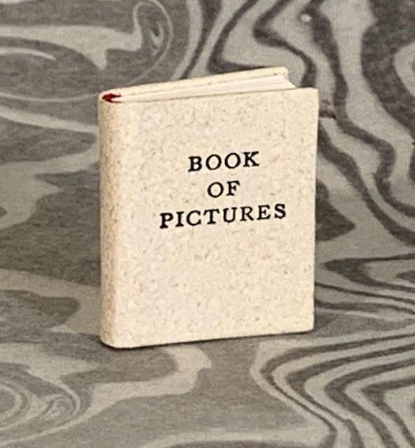 Book of Pictures and Wise Words