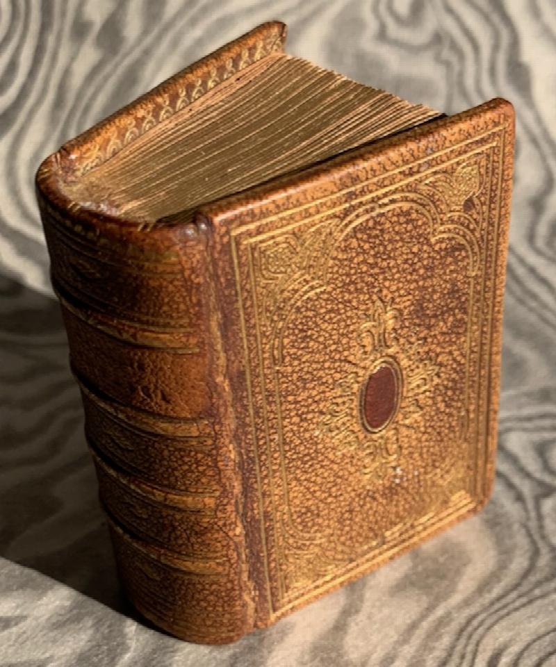 Image for Galleria Dantesca Microscopica